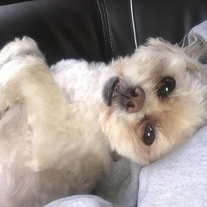 Meet your Posher, Maybeth